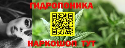 трава Шелехов